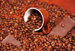 FreeGreatPicture.com 19237 chocolate features