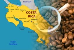 cafe tarrazu costa rica