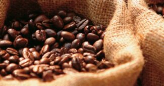 producción de café mexicano