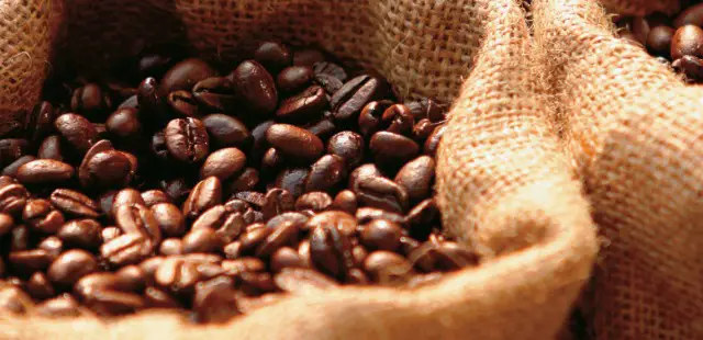 producción de café mexicano