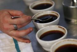 Tres diferentes formas de preparar un café